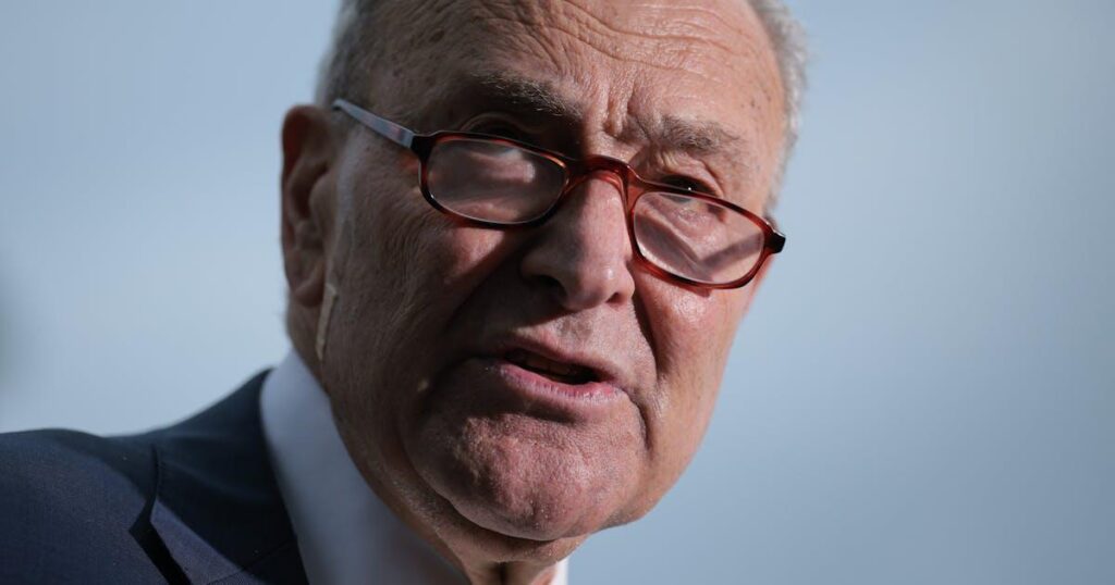 Chuck Schumer ergriff schließlich Maßnahmen, nachdem Trump Private Jet akzeptiert hat