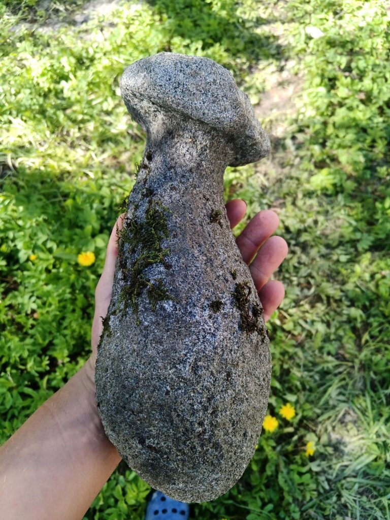 Ich fand im Garten einen eigenartigen Stein