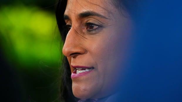 Minister "besorgt" über iranische Terroristenzellen in Kanada nach US -Luftangriffen