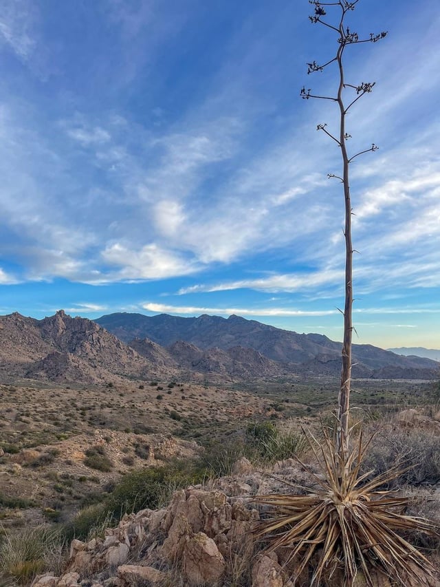 Sommercamping und Arbeiten in den nationalen Wäldern in Arizona und New Mexico