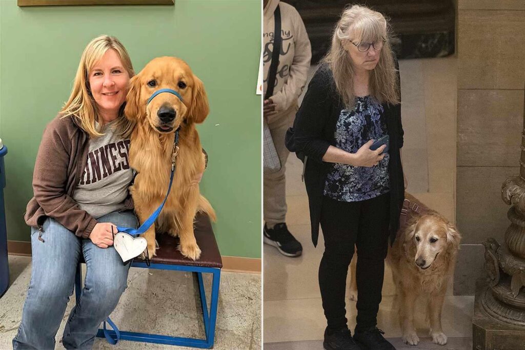 Minnesota Rep. Melissa Hortman, ihr Ehemann und ihr Golden Retriever liegen im Staat, als die Öffentlichkeit Hunde dazu bringt, Respekt zu erweisen Minnesota Rep. Melissa Hortman, ihr Ehemann und ihr Golden Retriever liegen im Staat, als die Öffentlichkeit Hunde dazu bringt, Respekt zu erweisen