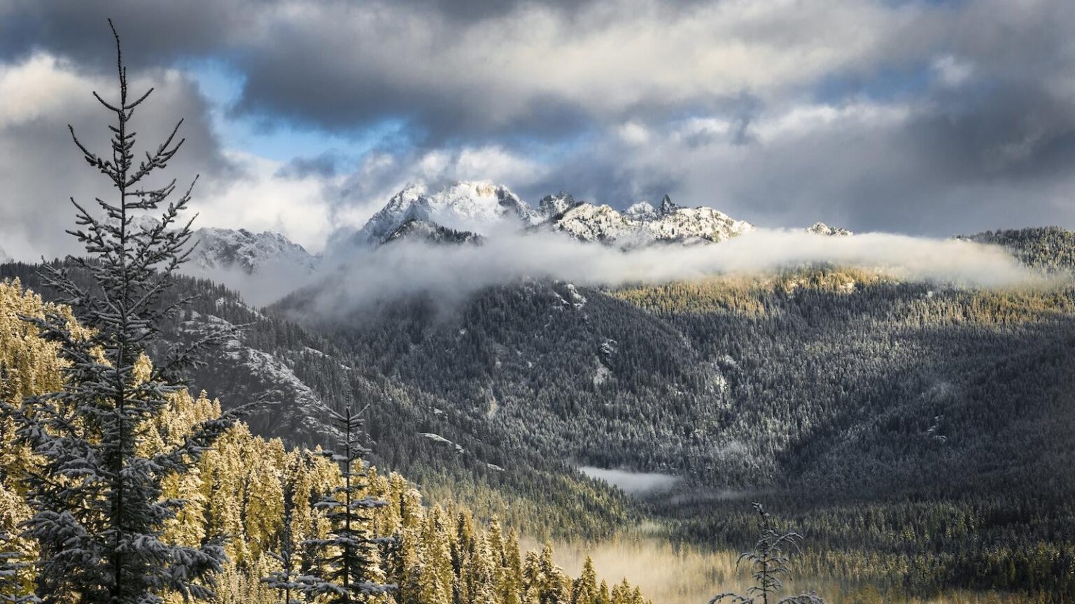 Ihre Lieblingscampingplätze, Wanderwege und Wälder in den USA könnten bald zur Auktion stehen