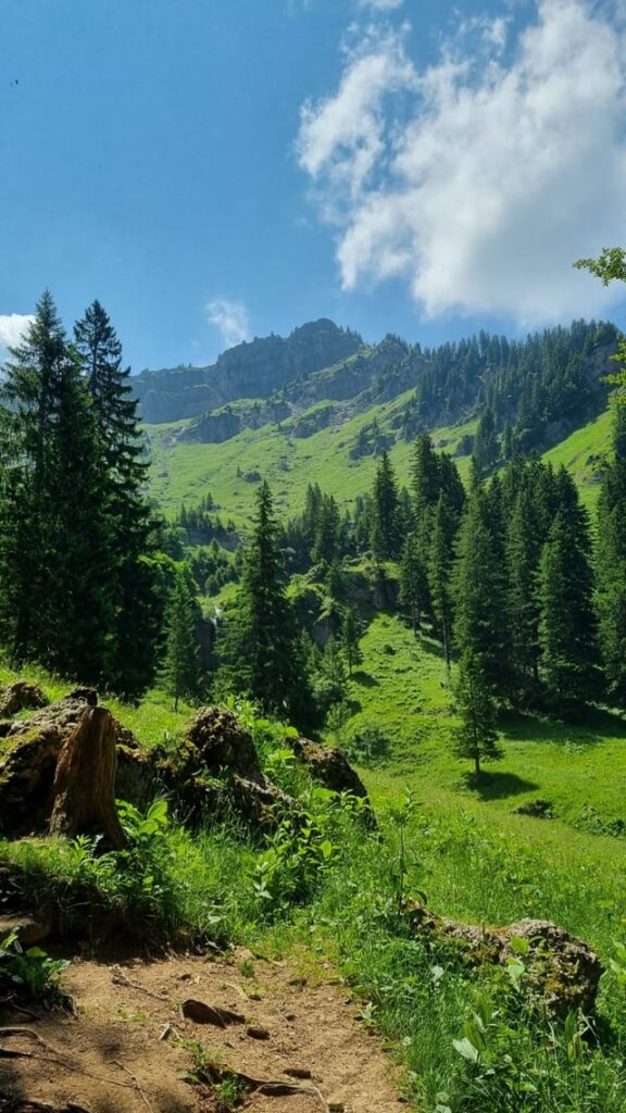 Hochgrat, Deutschland