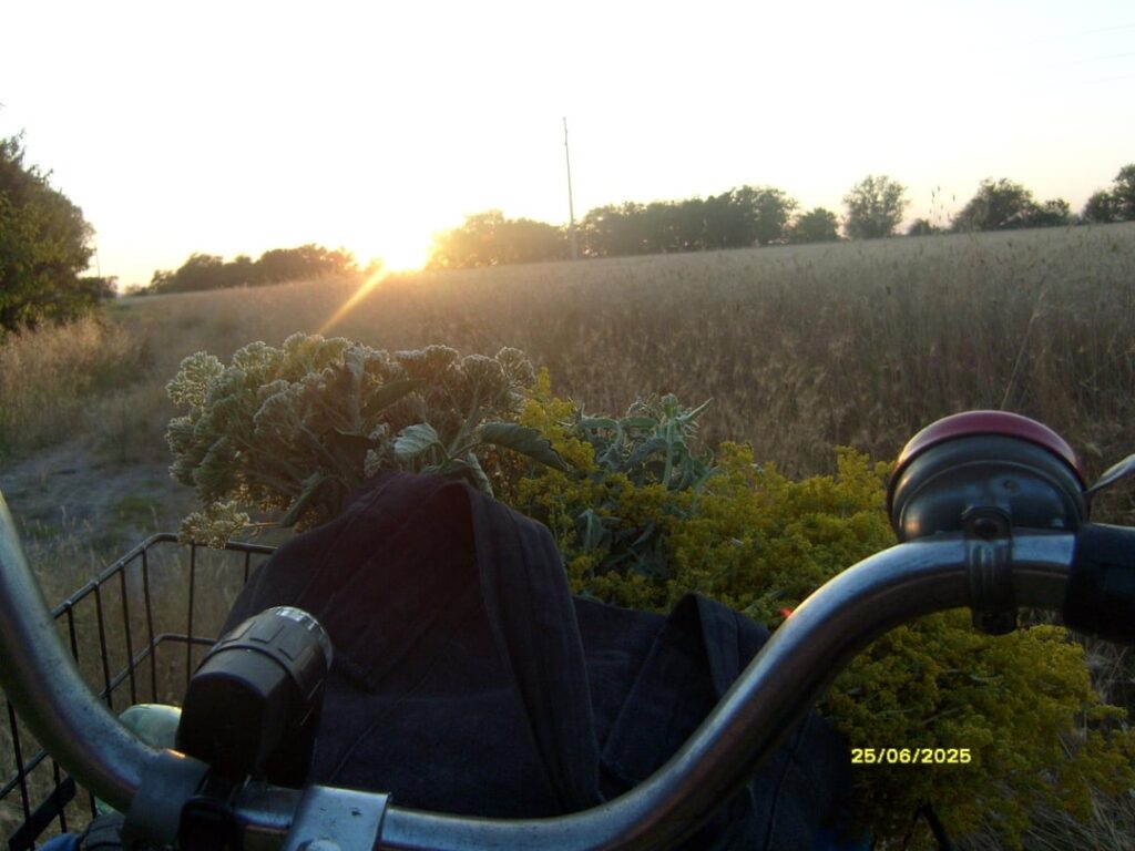 Ende des Tages am Bach wieder mit einem Korb voller Kräuter und Früchte.