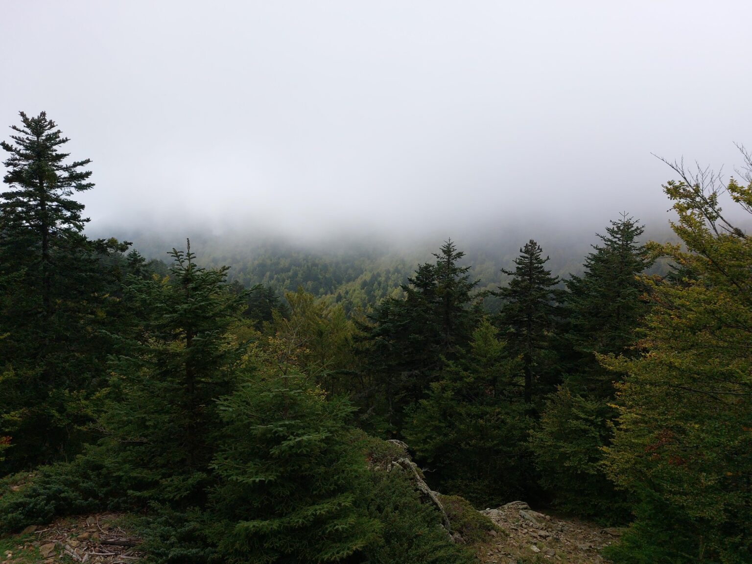 Aspromonte.