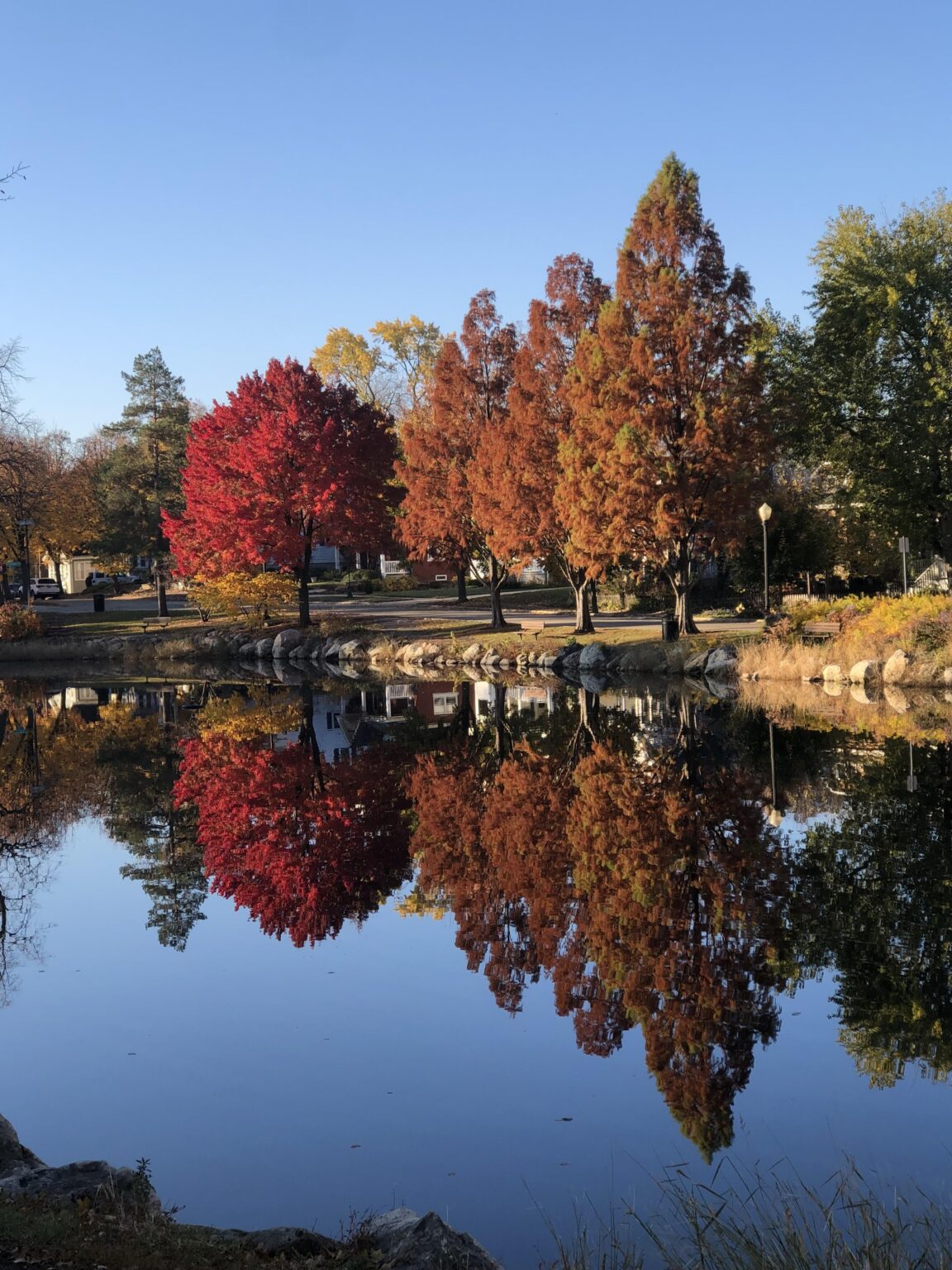 Im letzten Herbst ein wenig reflektieren