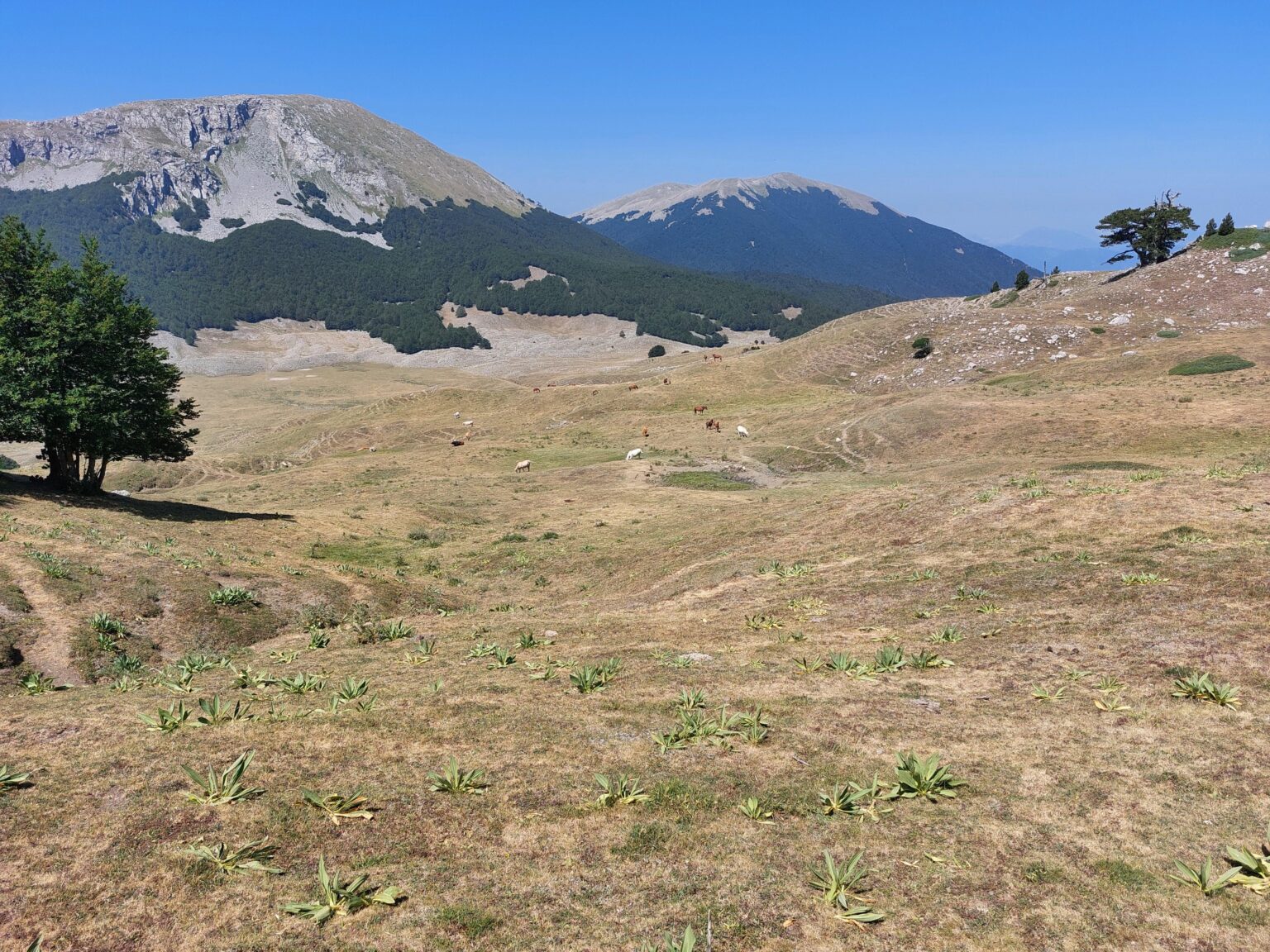 Pollino -Nationalpark. ⛰️🇮🇹