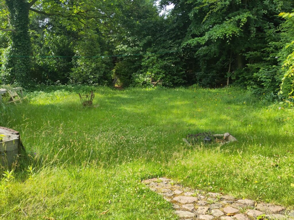 Wie ökologische Wiese? (Vermutlich er drölfhundertste Post dazu) Wie ökologische Wiese? (Vermutlich er drölfhundertste Post dazu)