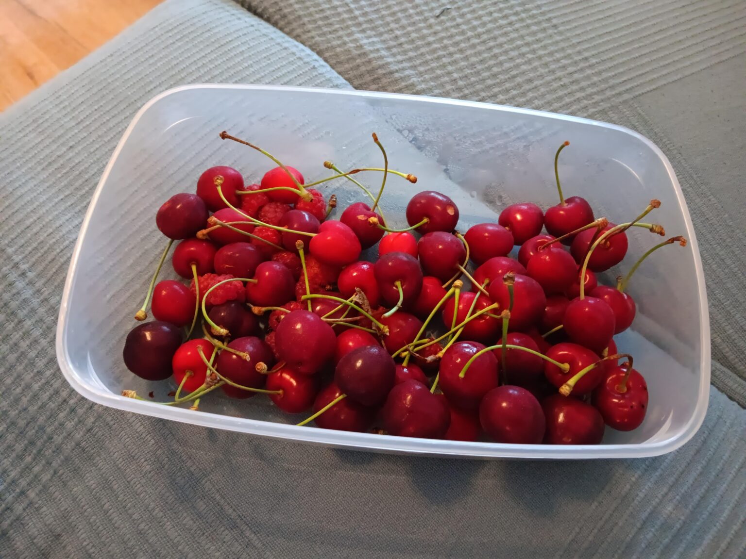 🤑🤑🤑frish geerntet