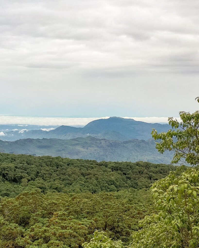 Mountain Elgon auf ugandischer Seite