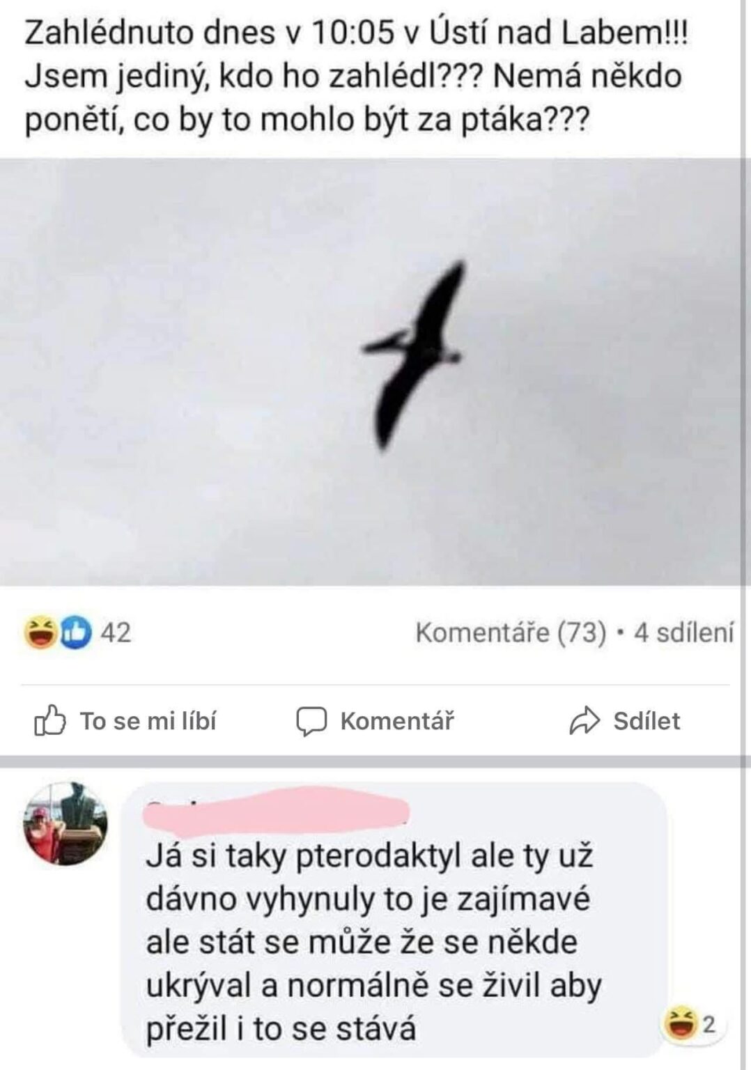 Pterodaktyl aus dem Mund