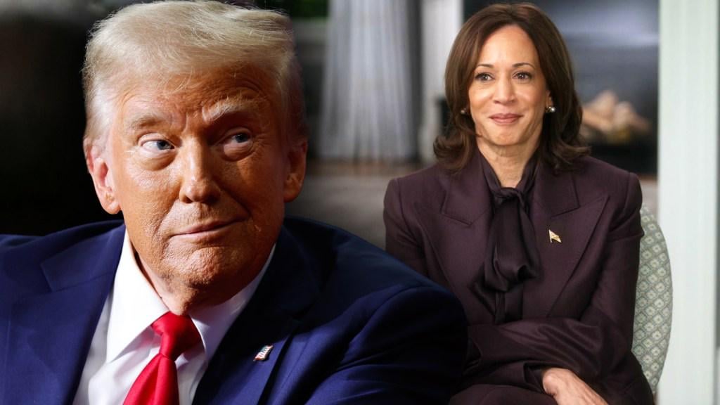 CBS nennt Donald Trumps Klage einen „verdienstlosen“ Versuch, die Grundsätze der Grundnovelle in der letzten Einreichung im Fall '60 Minuten zu entziehen '