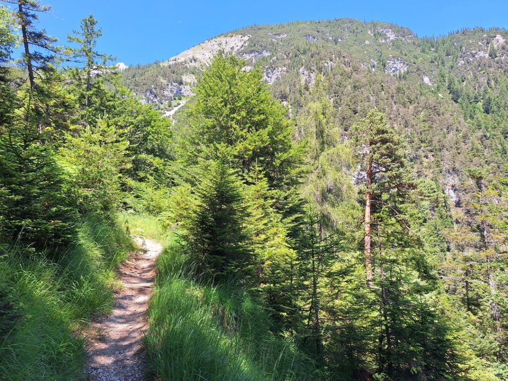 Mein Lieblingsort zum Wanderung sind die Berge rund um Innsbruck ✨️