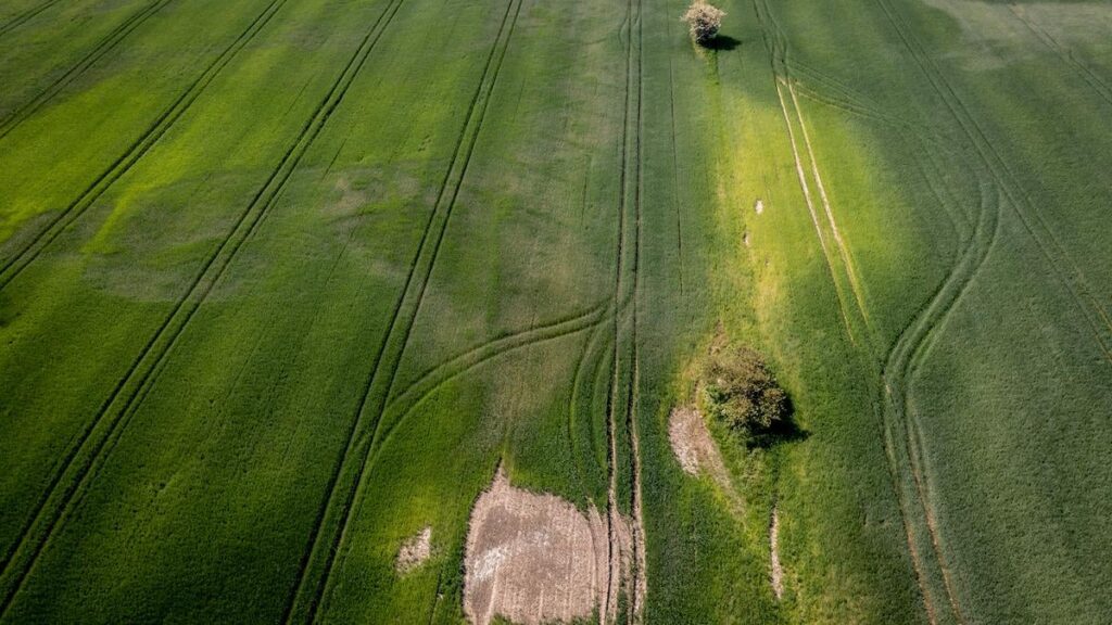 Die Verwendung von PFAs durch die Landwirtschaft aus Pestiziden steigt wieder - mehr Wünsche Verbot