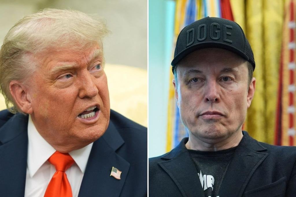 Elon Moschus unterschreibt vor Vorschlag Trump sollte angeklagt werden, aus dem Amt entfernt werden