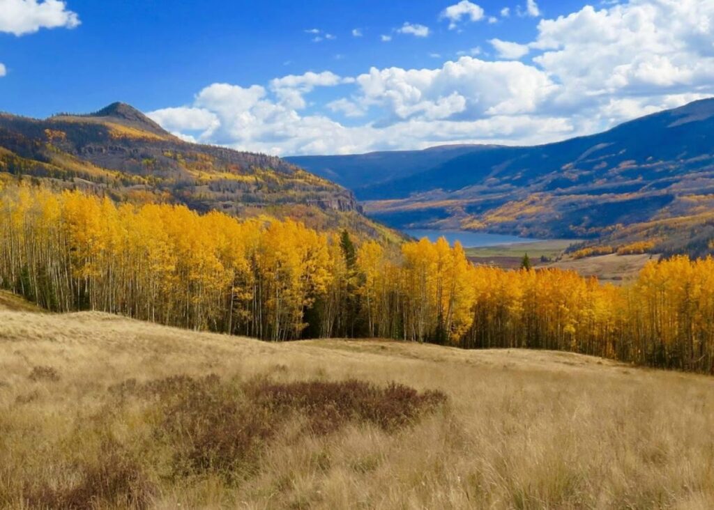 Gov Is Tryna verkaufen öffentliche Gebiete an private Eigentümer. Wenn Sie irgendwo an der Westküste/Rockies leben, überprüfen Sie dies bitte und überprüfen Sie es auch, auch wenn Sie dies nicht tun (nicht mein Beitrag)