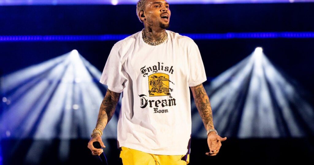 Chris Brown beschuldigt, in 90 Millionen US -Dollar Hofkampf um Hundeangriff "Ausweiche" zu sein (exklusiv)