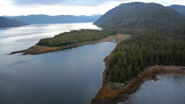 Die BC -Regierung genehmigt neue LNG -Pipeline in der Nähe von Prince Rupert, BC | CBC News