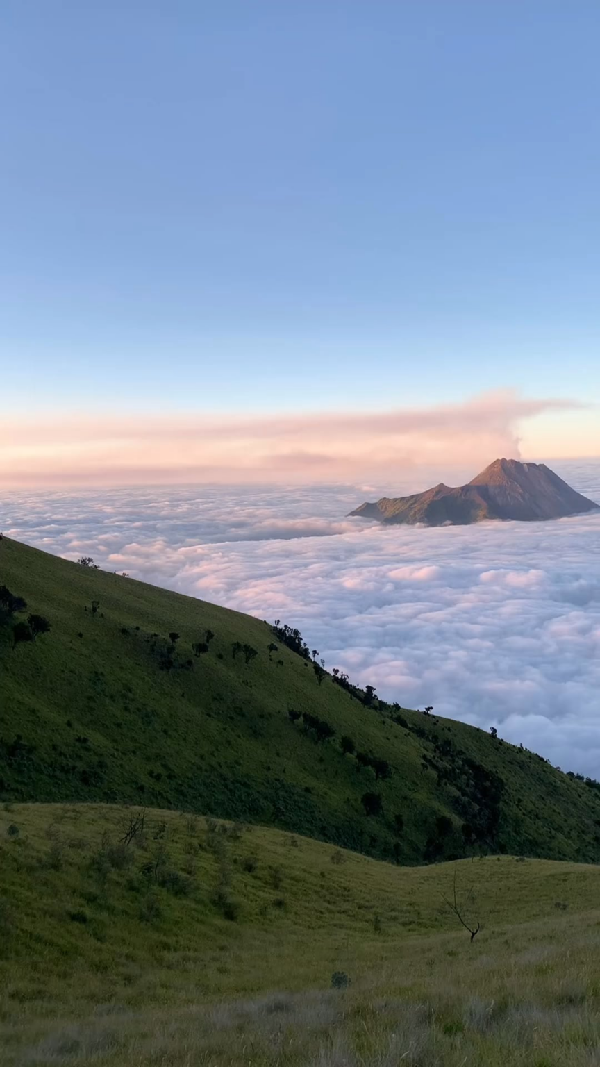 Morgendämmerung auf der Spitze von Merbabu, Indonesien.