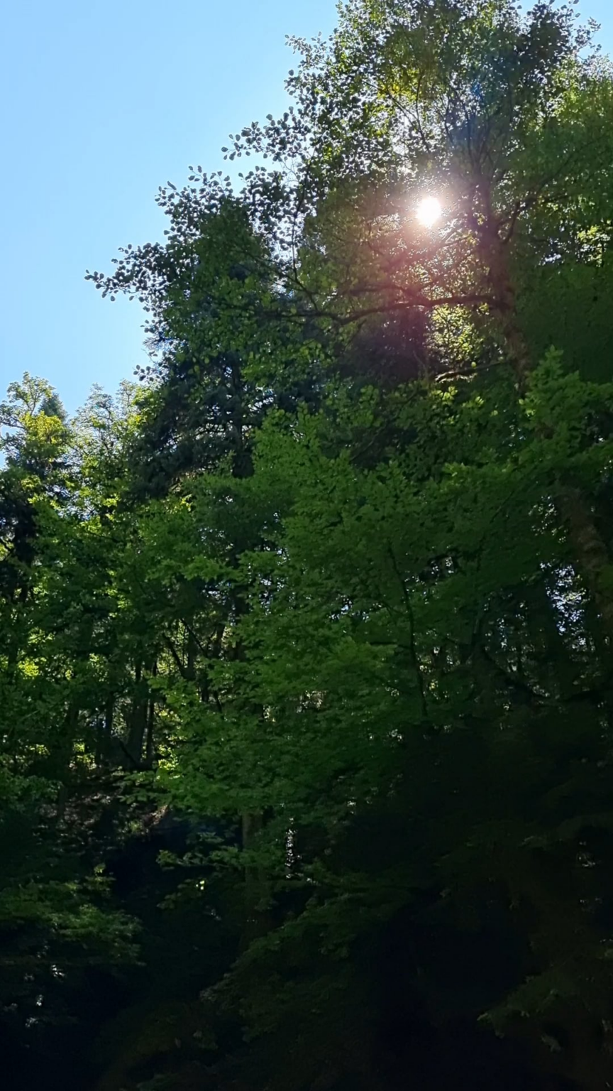 Türkei, Region Western Blacksea