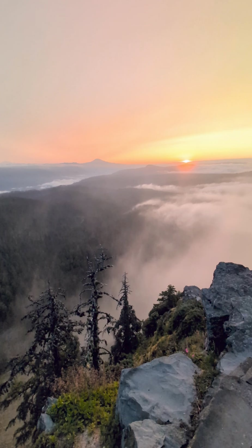 Vatertag nebliger Sonnenaufgang