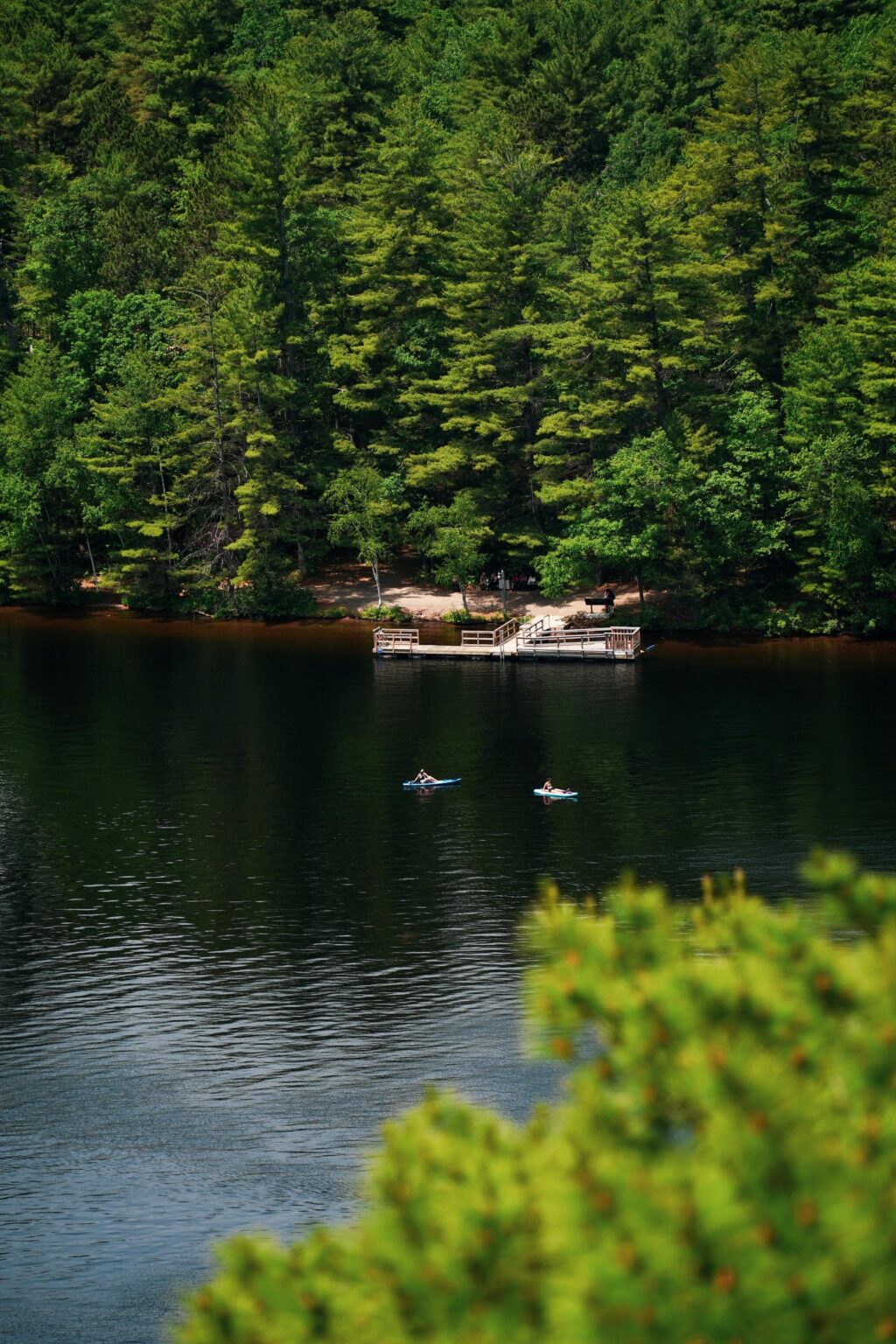 Tag dafür bei Bon Echo.