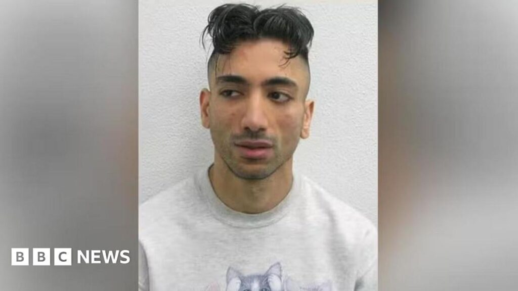 Jacky Jhaj: Britischer Mann, der über eine Mock Disneyland -Hochzeit mit dem Kind angeklagt wurde, wurde von BBC untersucht worden