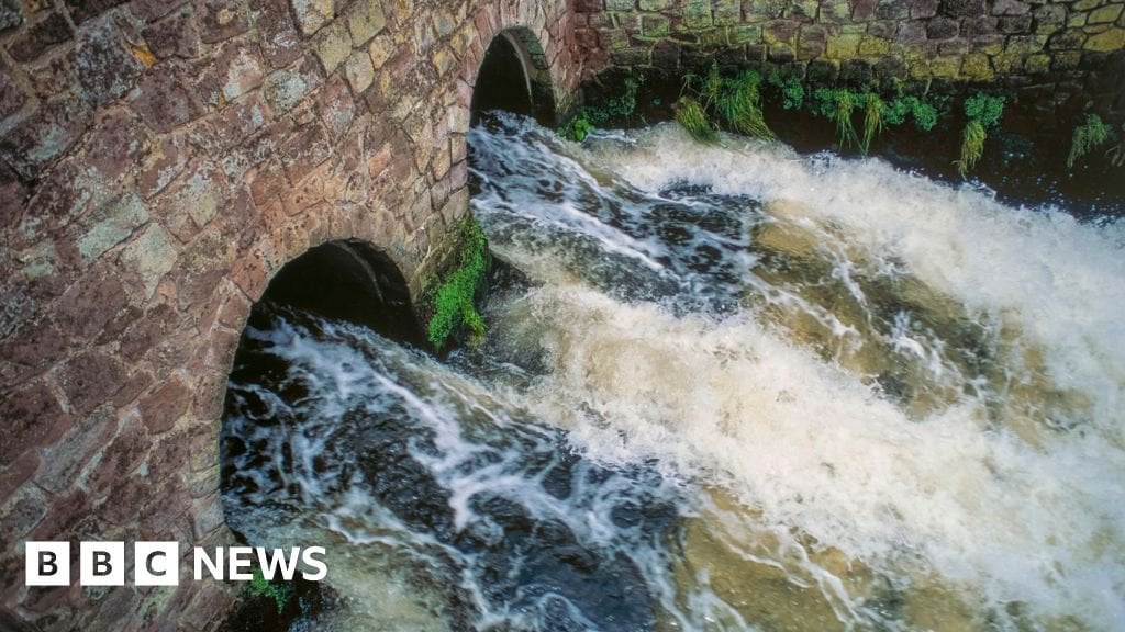 Die Boni der Chefs, die in sechs Wasserunternehmen verboten sind - BBC News