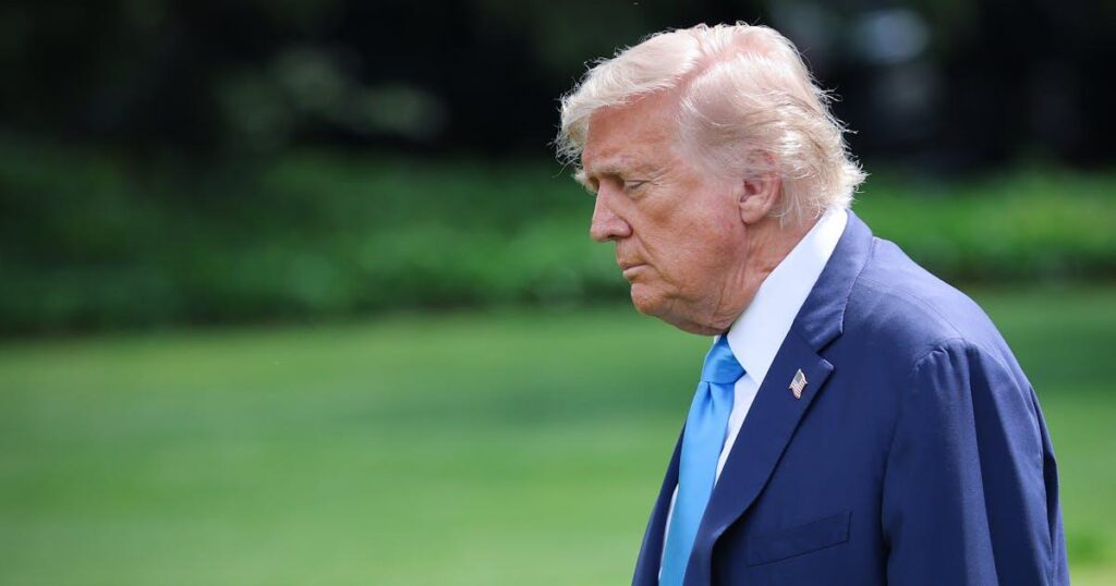 Trumps Militärparade war ein erbärmliches Ereignis für einen erbärmlichen Präsidenten