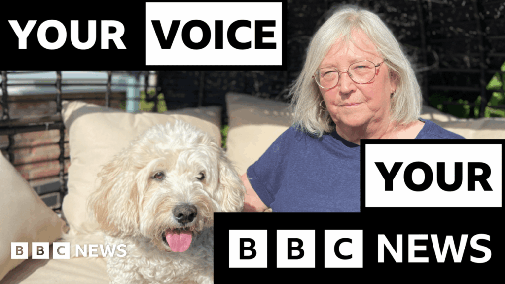 Tierarztrechnungen: Weitere Haustiere werden aufgrund steigender Kosten gesenkt, sagte BBC, sagte BBC