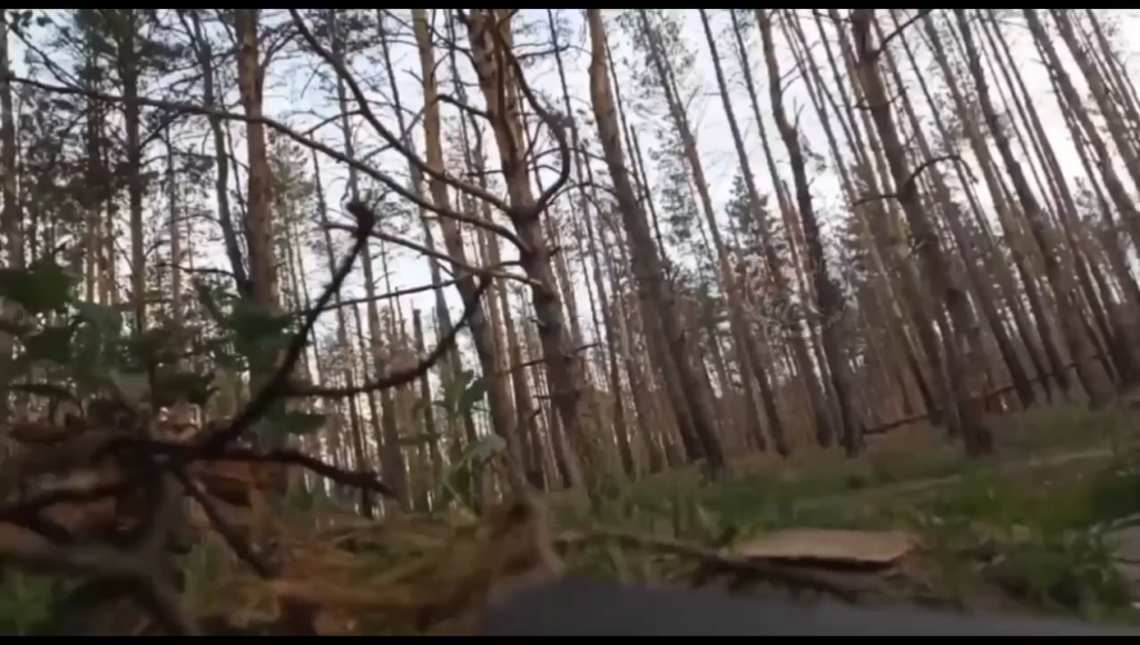 Russische Soldaten überfallen und schnitten das faseroptische Kabel einer ukrainischen FPV-Drohne und deaktivierten es.