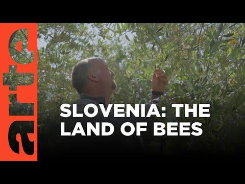 Pestizide: Die slowenische Ausnahme | ARTE.TV -Dokumentation