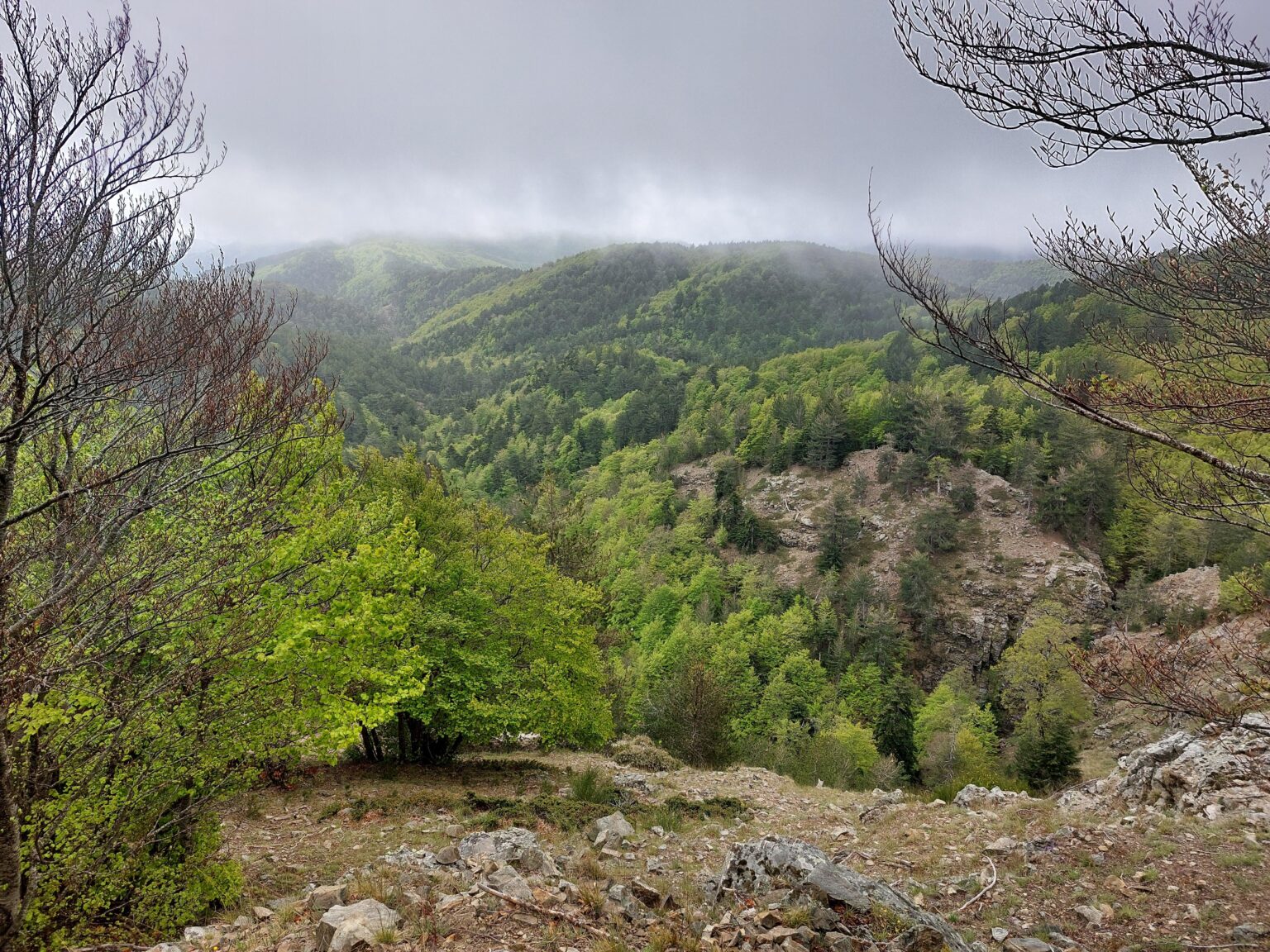 Aspromonte.