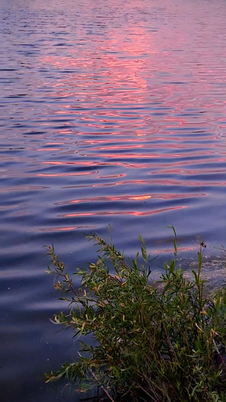 Sonnenuntergang am Teich