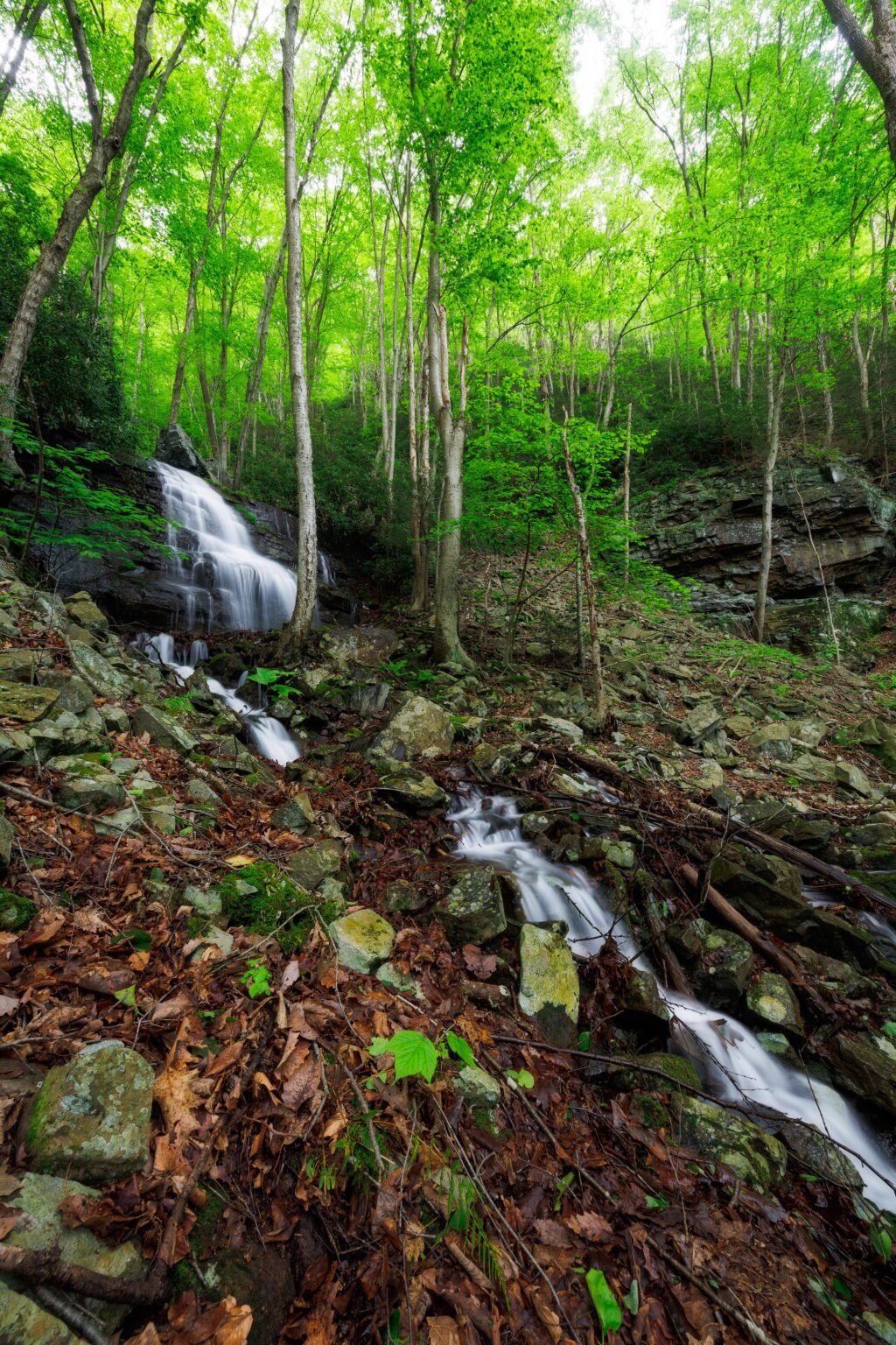 Down in der hohlen Nordost -Pennsylvania, USA.