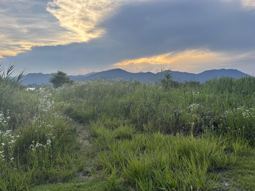 Busan, Korea - Sunset Trail Walk