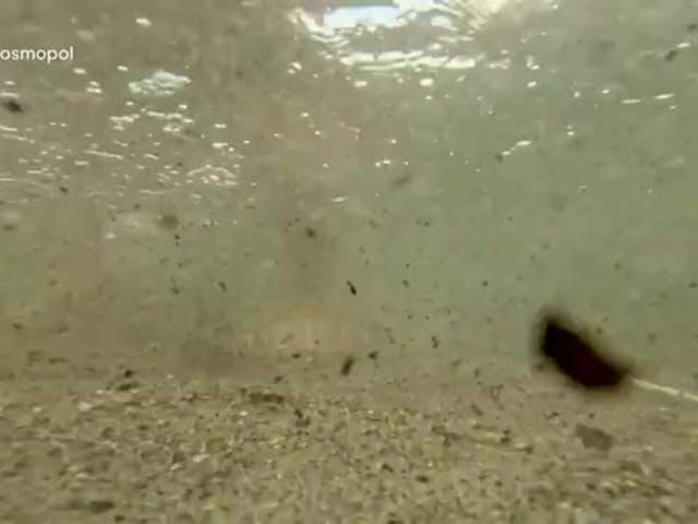 So wie Sie Ihre Ernährung variieren müssen, variieren Sie die Orte, an denen Sie ins Wasser gehen, um nicht schädlichen Mengen an PFAs ausgesetzt zu sein.