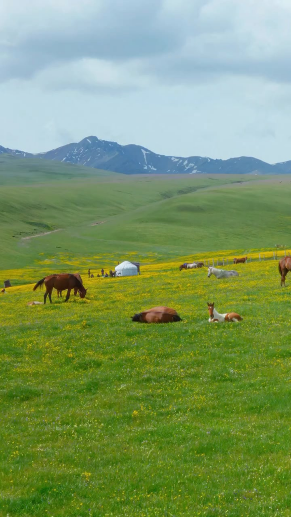 Assy Zhailau, Almaty Region, Kasachstan