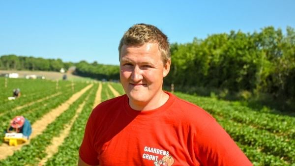 Erdbeerdiebstahl wurde zum Raub: Zwei Frauen aus Aarhus fuhren direkt auf den Farmer, als sie flohen