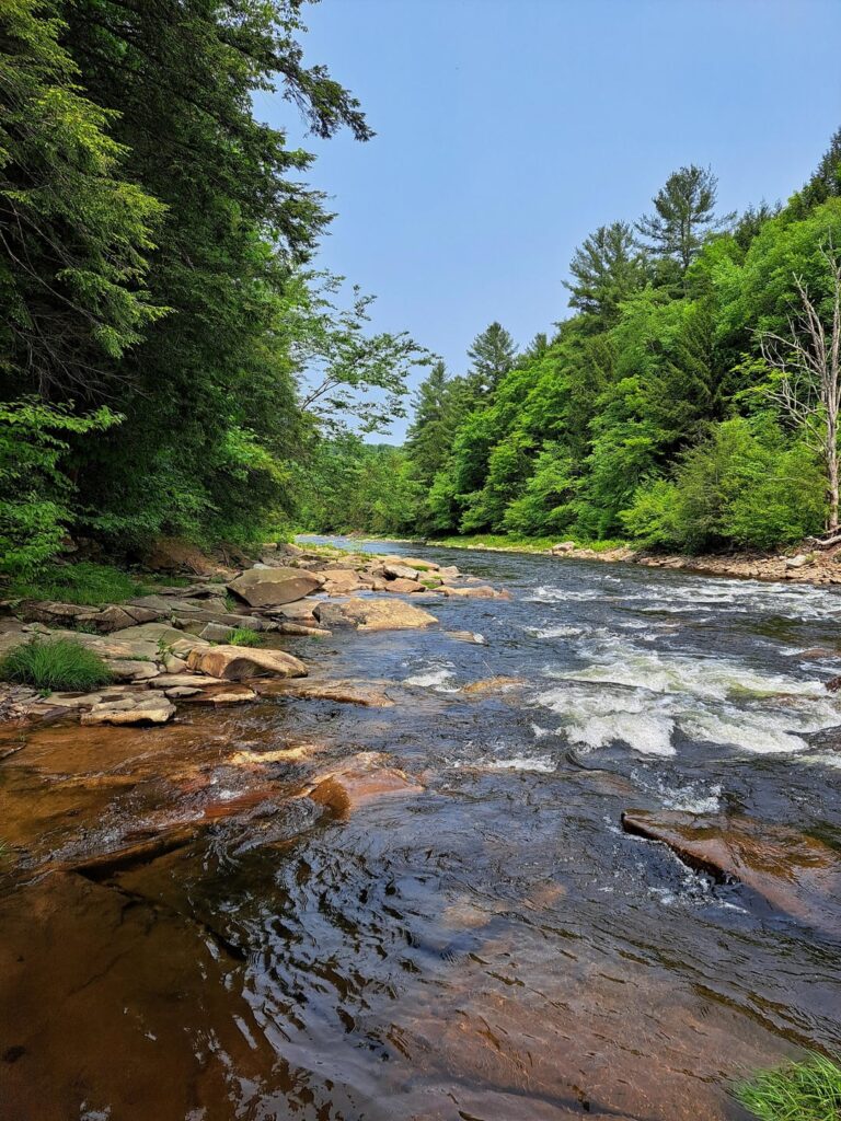 Pennsylvania -Wälder fühlen sich magisch an