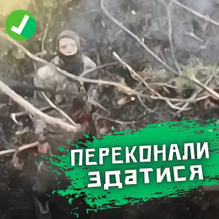 Die ukrainische 63. Separate mechanisierte Brigade ermutigt einen Russen, sich zu ergeben, zuerst mit abgelegten Flugblättern mit Anweisungen, dann ein paar Granaten.