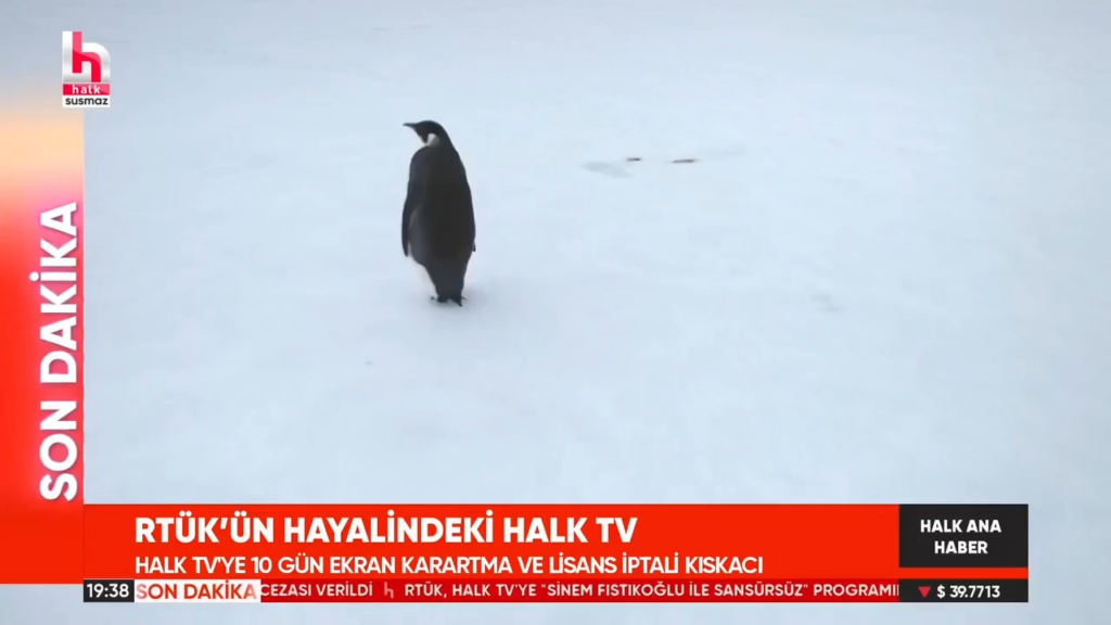HALKTV LIVE Sendung.