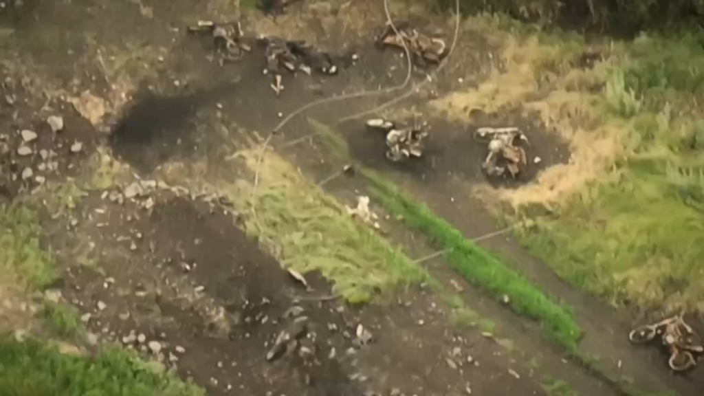 Ukrainische Drohnen zerstören eine große Anzahl russischer Eindringgruppen in der Nähe des Dorfes Andreevka in der Sumy Region Warlife 18+