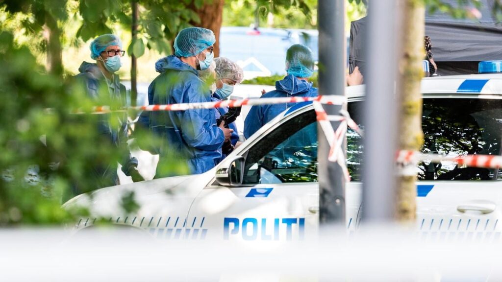 Sechs Frauen im Juni getötet - New Deal konzentriert sich mehr auf spezielle Fußverbindungen