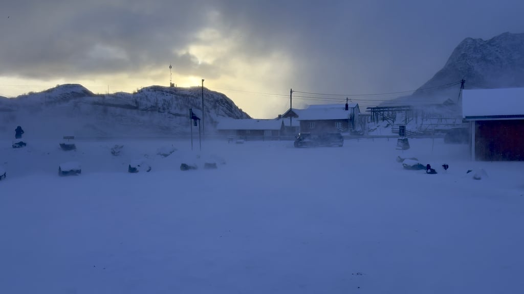 Sacrisoya Lofoten