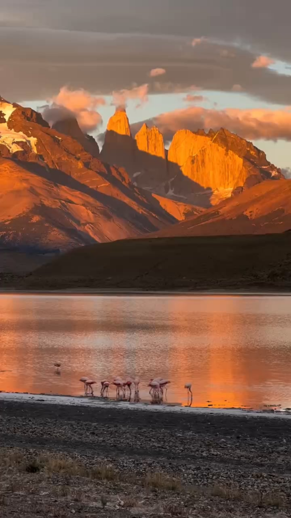 Die makellose Natur des Torres del Paine National Park, einer der meistbesuchten Touristenorte in Chili.