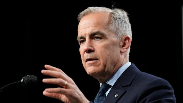 Carney Curbs Stahlimporte, um die Industrie zu stützen, die von Trumps Tarifen hart getroffen werden | CBC News