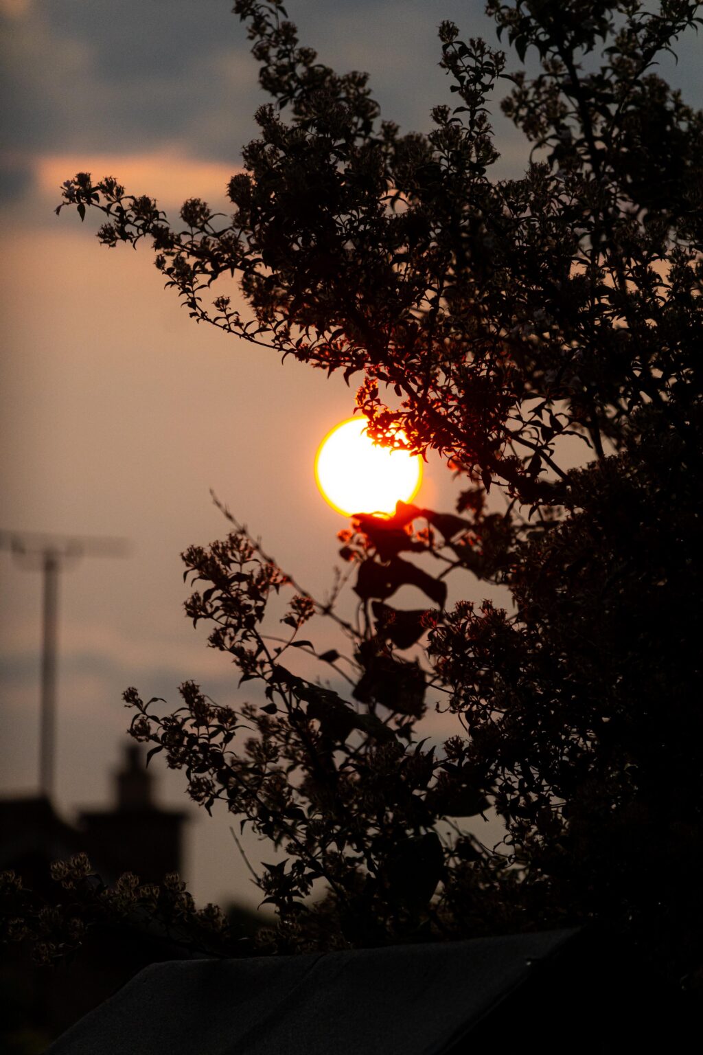 Die Sonne erschien, als sie nach einem Tag ohne Stop Rain 😍 unterging.