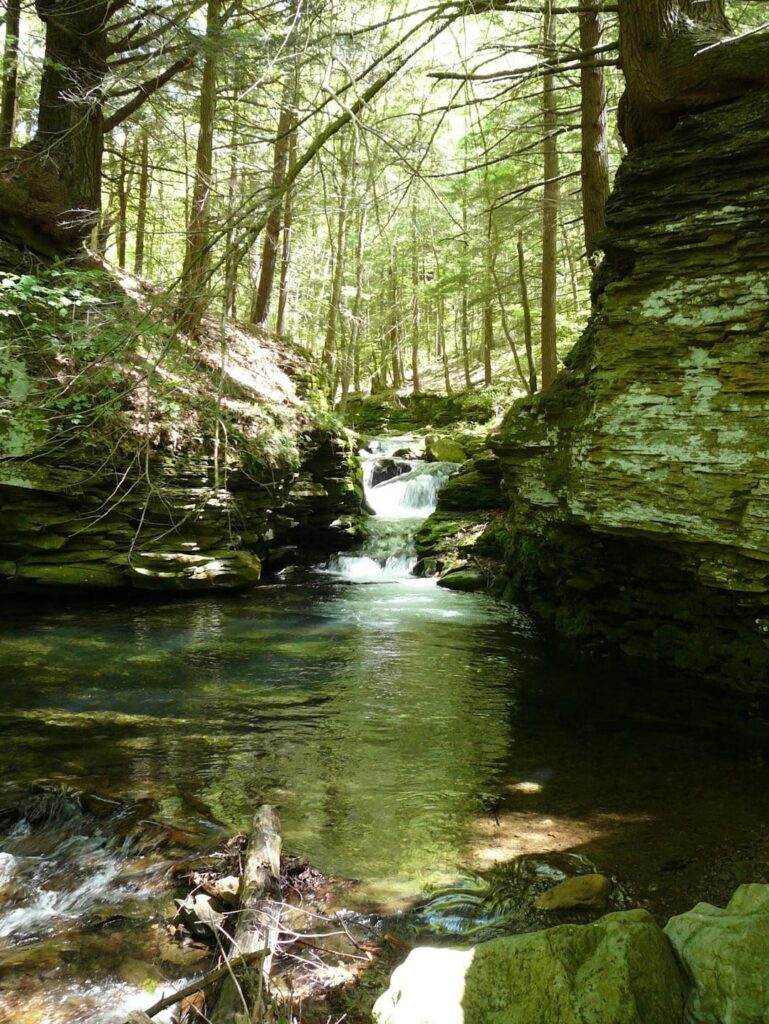 Bergwasserfall in PA