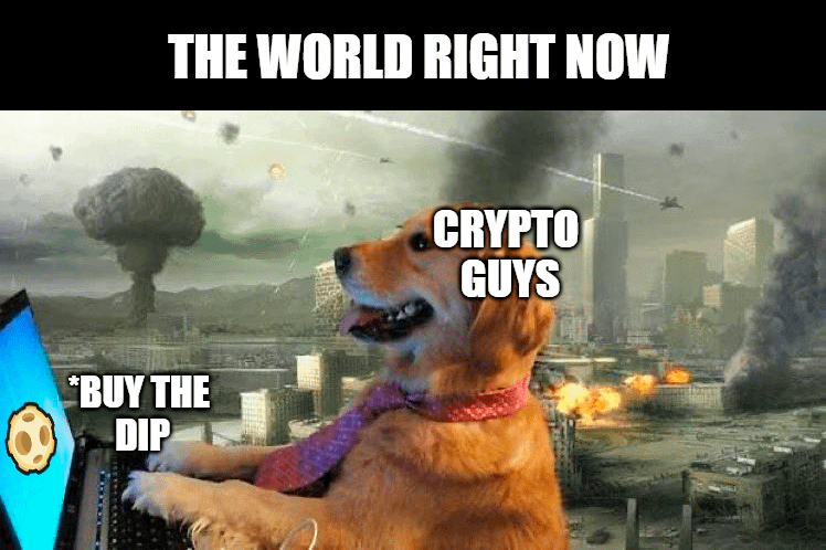 Die Welt im Moment: Inzwischen Krypto -Jungs ... den Dip kaufen
